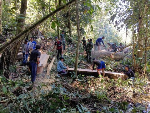 Pengambilan Bahan Baku Kayu